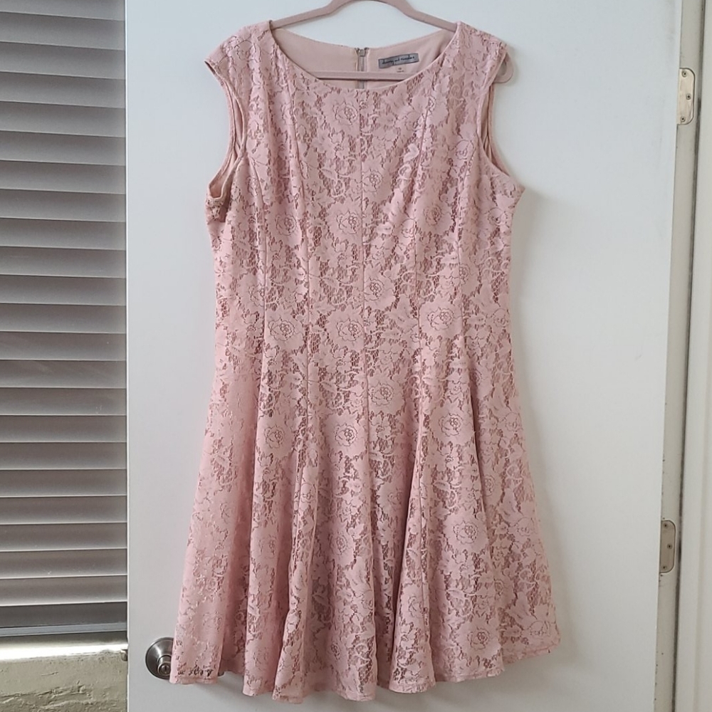 Millennial Pink Lace Knee Length Dress